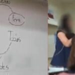 Colégio demite professora gravada ensinando linguagem neutra a alunos em SC