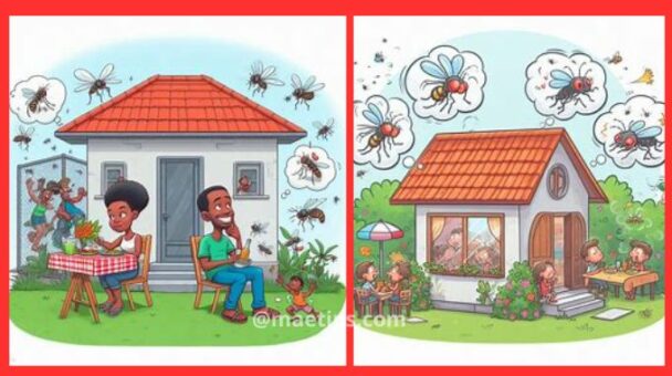 Como acabar com moscas e mosquitos de maneira simples e eficaz: receita caseira