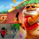 Neta furta R$ 179 mil do avô para gastar no 'Jogo do Tigrinho'